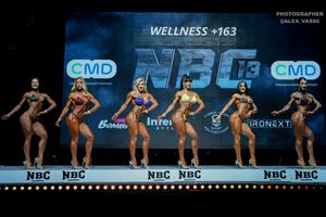 WELLNESS +163